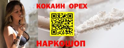 стафф Шелехов